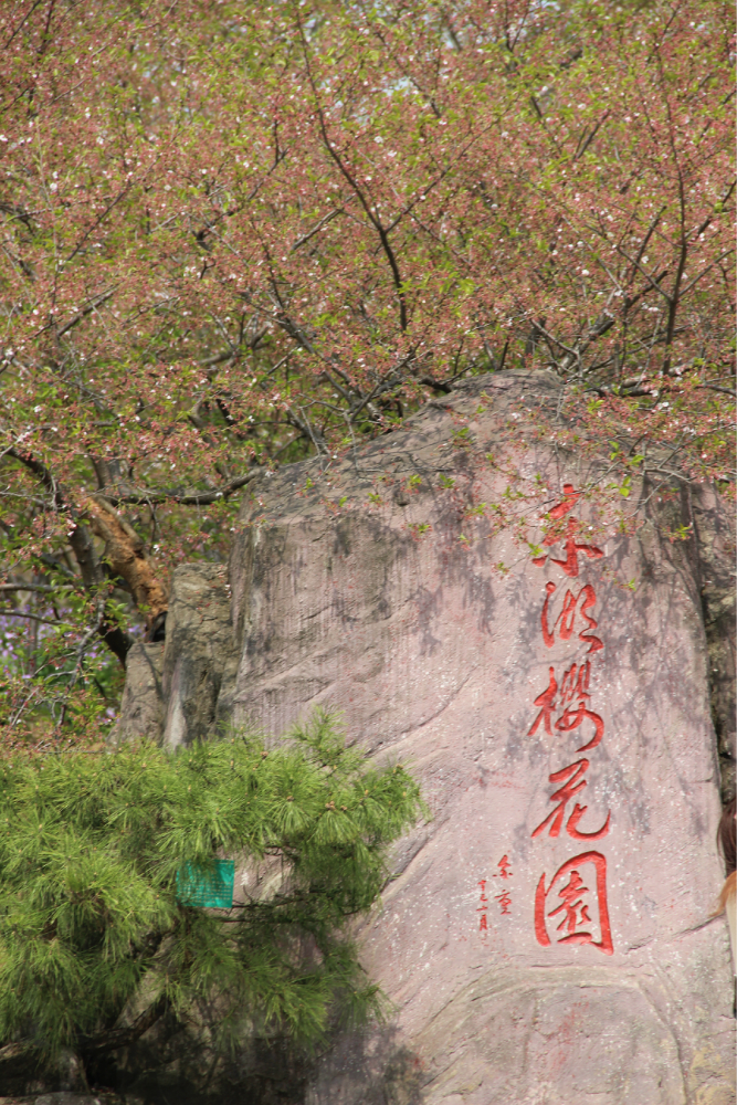 武汉人口出来_武汉地铁出人口图片(2)