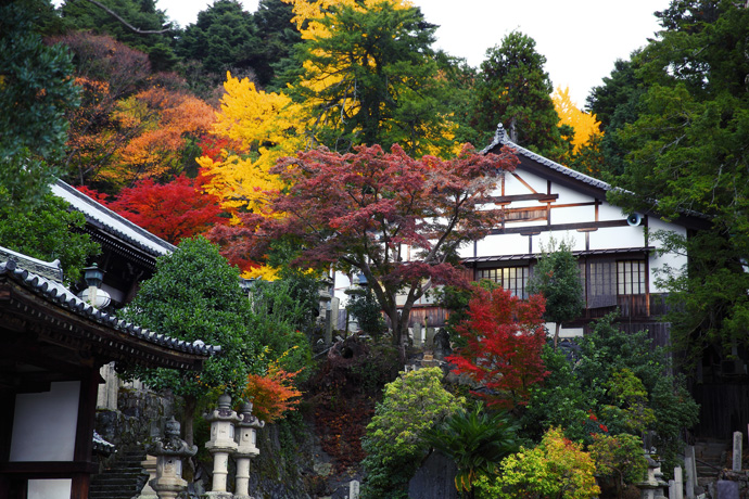 奈良旅游景点