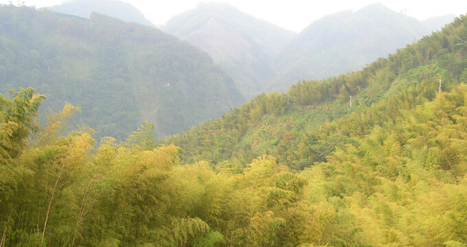 竹山