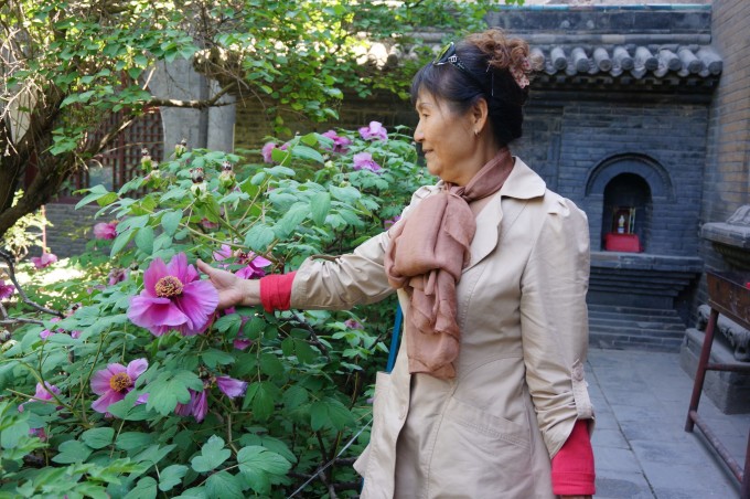 --> 从双塔寺出来,本来想去山西省博物馆,结果,没有找到,问了一些人也说不清楚,干脆就不去了,开车直奔晋祠。有些景点大同小异,就选择放弃了。 晋祠在太原市西南25公里悬翁山下,晋水发源处。北宋天圣年间,追封唐叔虞为汾王,并为大母邑姜修建了规模大的圣母殿,殿内有43尊宋代彩塑,殿前鱼沼飞梁为国内所仅见。这里,山环水绕,古木参天,在如画的美景中,历代劳动人民建筑了近百座殿、堂、楼、阁、亭、台、桥、榭。在苍郁的树木掩映之下,清澈见底的泉水蜿蜓穿流于祠庙殿宇之间,历史文物与自然风景荟萃一起,使游人目不暇接,留