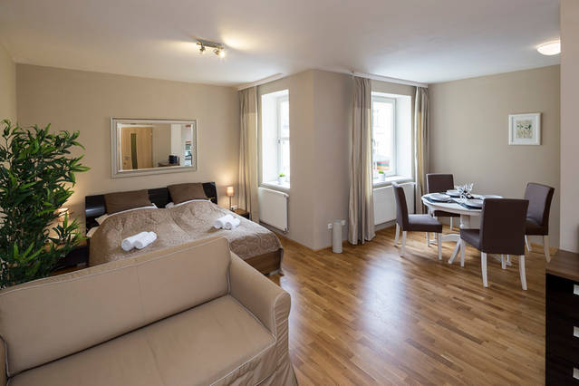 wenceslas square - studio apartment