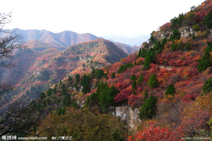 --> 仙台山景区位于井陉县辛庄乡,属国家级森林公园,全国最大红叶观赏区之一,绿植覆盖率高达96%,素有太行绿宝石之美誉。景区总覆盖面积约36.9平方公里,以山峰、森林、溶洞、峡谷、古迹等自然景观为主,现有漆树谷、仙台峰、护国院三大主景区,其中主峰海拔1195米,山峰奇秀,俨然一尊大仙巍然屹立,树木繁多,自然景色优美,每至汛期,百泉汇合飞瑬直下,山光水影,宛如银河倒悬,故名仙台山。 仙台山四季四色,春天,山花烂漫,鸟啼枝头;夏天,高瀑流水,碧草青山;秋天,满坡红叶,层林尽染;冬天,林海冰柱,甚是大观。