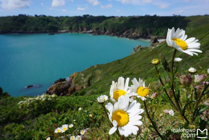 根西岛和泽西岛都为英国女王的皇冠属地,共同成为海峡群岛(Channel Islands)。由于泽西岛面积大,人口相对多,开发力度较根西岛大,所以似乎更多的人是去泽西岛,而比较少到根西岛来,而且网上关于根西岛的介绍似乎已经比较少。 根西岛和泽西岛各有特色,但是如果从风景秀丽角度,个人更喜欢根西岛,因为泽西岛跟英国的某些小型城市并没有多大区别,而且到处开发建设,给人一种很乱的感觉。相反,根西岛由于面积不大,政府对于人口以及房产开发控制十分严格,整个岛显得十分精致漂亮。 在此搜集总结和一些资料,供有需要的朋友们