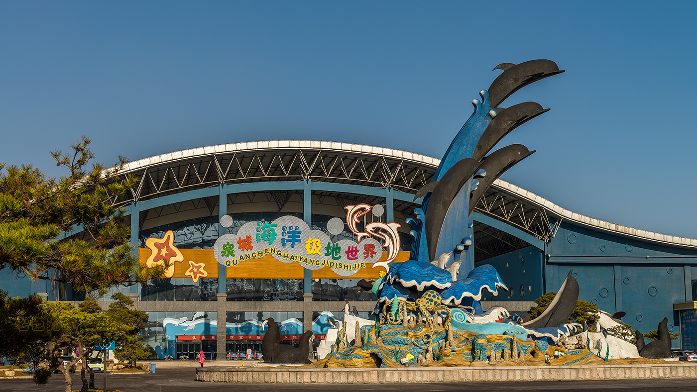 济南泉城海洋极地世界门票 电子票/泉城极地海洋世界成人门票