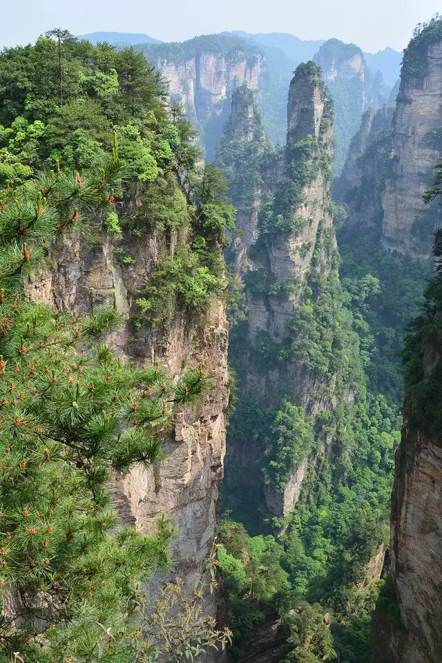 杨家界景区         