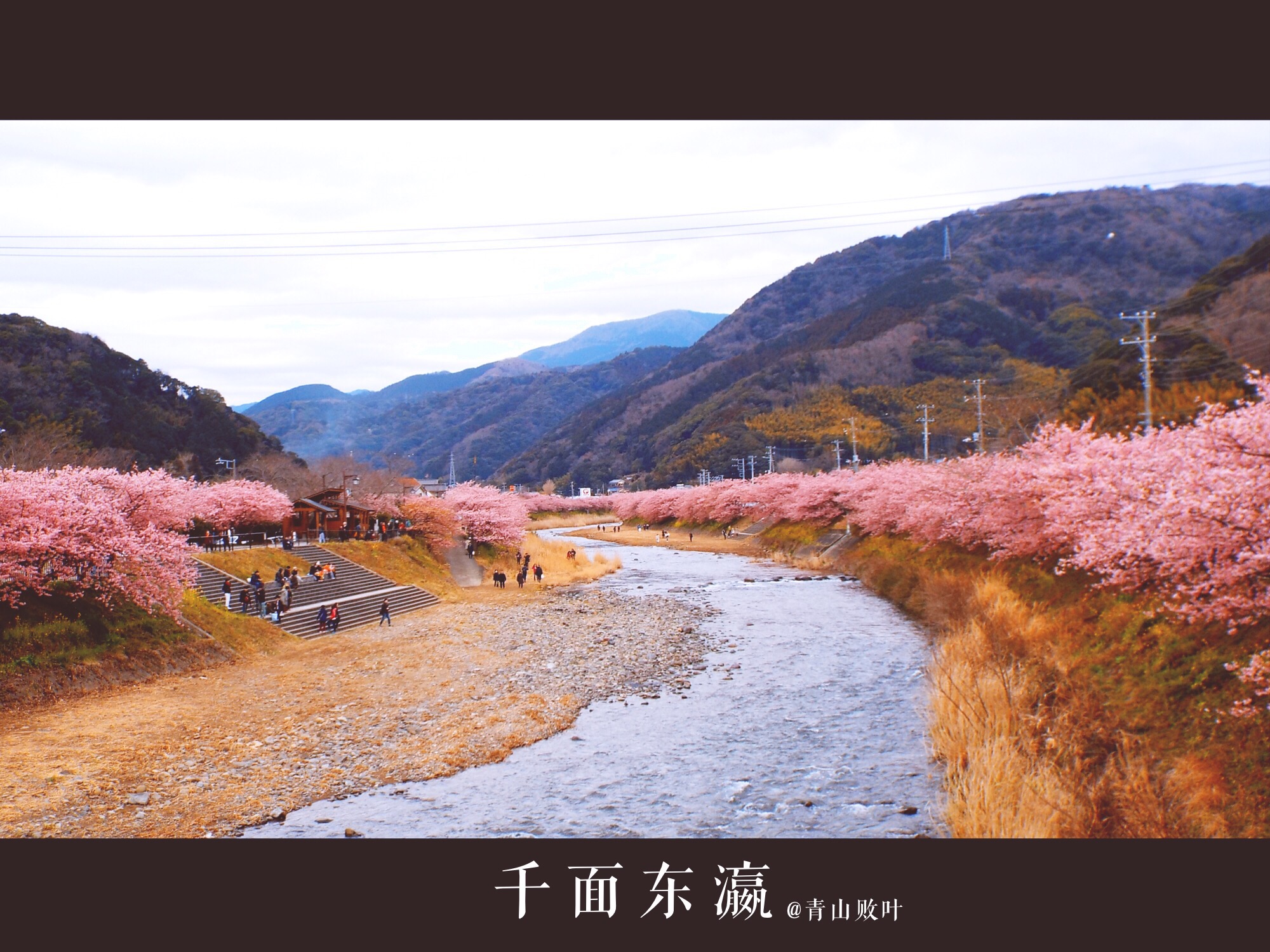 河津市有多少人口_河津市某大官情人曝光(2)