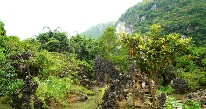 紫雲旅遊,紫雲自助遊,2023紫雲旅遊攻略_景點_行程推薦 - 螞蜂窩旅遊