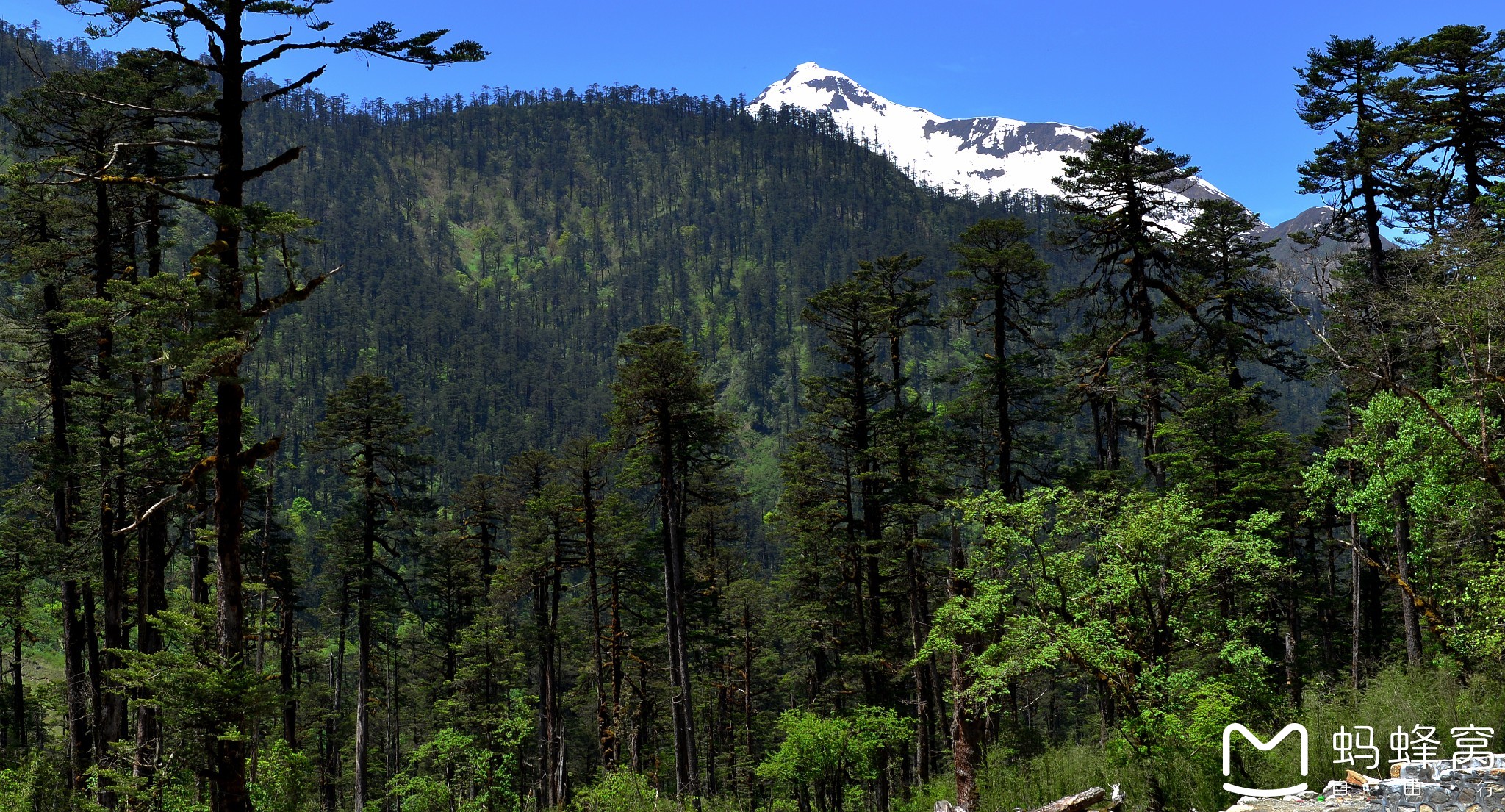 只有在去西藏的路上,才知道世界有多美!(墨脱-波密-察隅-山南)