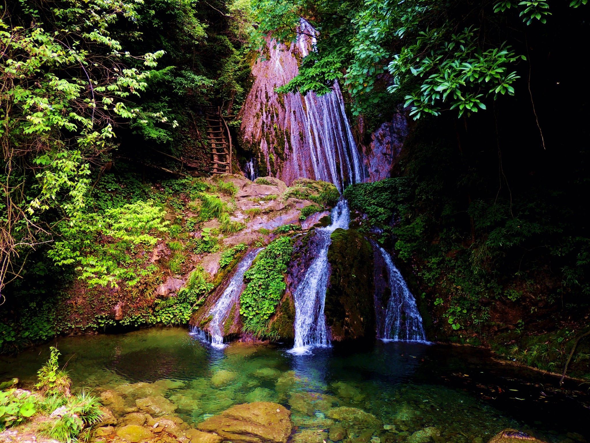 水磨沟秦巴大草甸旅游区