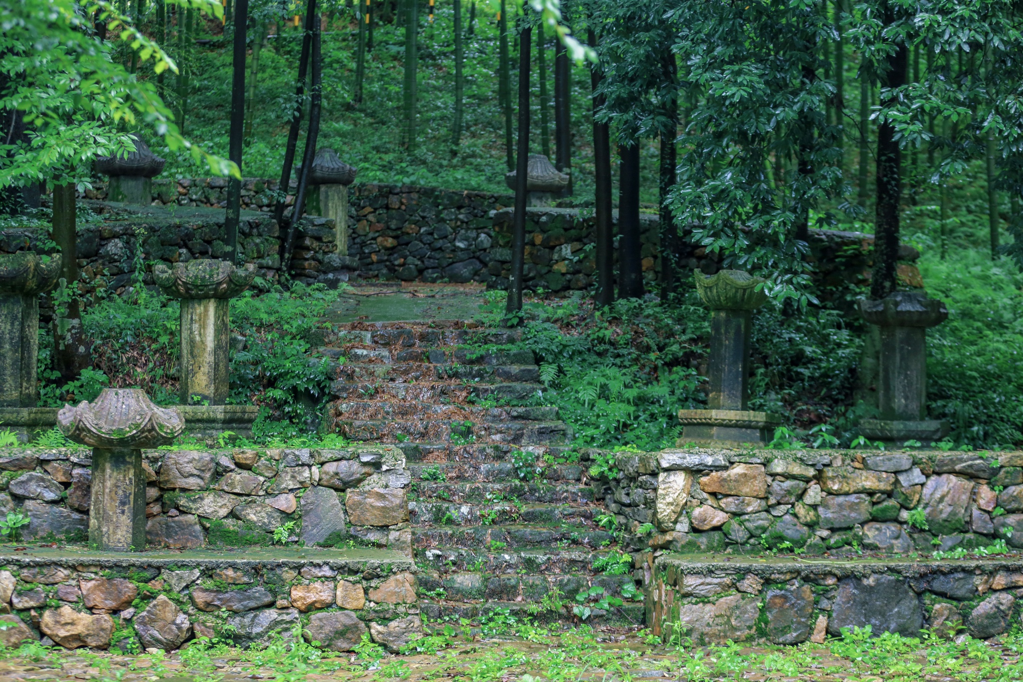 我在湖13把草木的气息寄给你